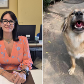 Fiona è fuori pericolo. L’assessore Cozzi condanna i colpevoli: «Gesto doloso, è un atto da delinquenti» Fiona è fuori pericolo. L’assessore Cozzi condanna i colpevoli: «Gesto doloso, è un atto da delinquenti»