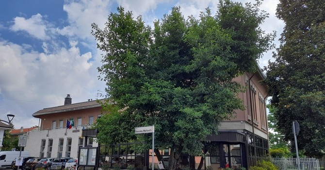 Il Comune di Solbiate Olona Il Comune di Solbiate Olona