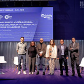 Carlsberg protagonista al Beer&amp;Food Attraction di Rimini: «I consumatori preferiscono sempre di più alternare alcolico e analcolico"