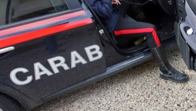 Blitz anti spaccio a Varese: il fiuto del "cane carabiniere" Harry trova l'hashish nascosto in un'aiuola