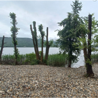 La spiaggia abusiva sul lago di Comabbio