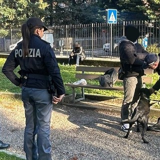 Gallarate, controlli straordinari: il cane “Zorro” fiuta la droga in sala scommesse e alla stazione