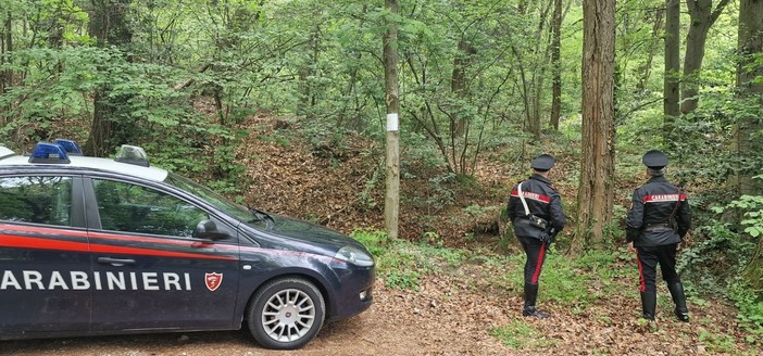 Ancora un blitz anti spaccio nei boschi del Parco Pineta: un arresto a Tradate