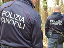 Operazione contro lo spaccio: sequestrati hashish e cocaina e smantellato bivacco nel Parco Pineta Operazione contro lo spaccio: sequestrati hashish e cocaina e smantellato bivacco nel Parco Pineta