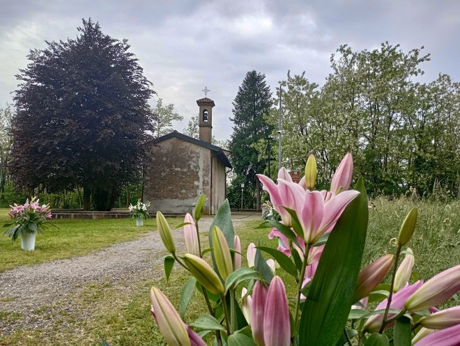 San Vitale a Gorla Maggiore