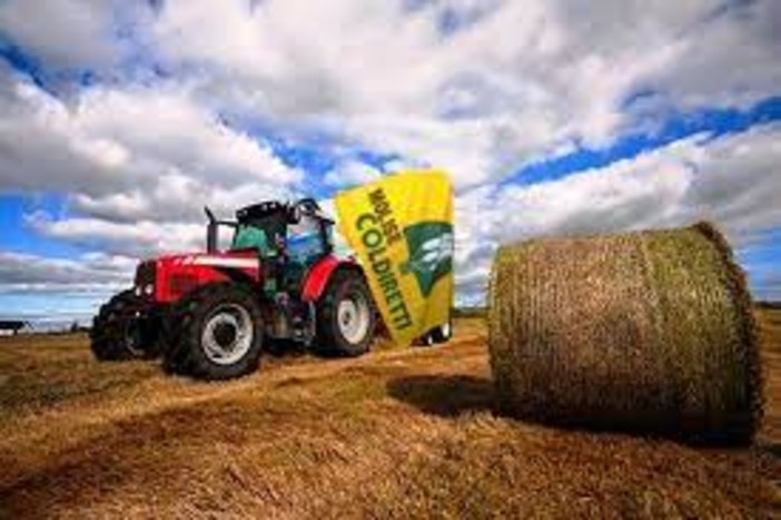 Agricoltura: Varese accoglie gli Oscar Green. Lombardia: a Ville Ponti le idee dei giovani Agricoltura: Varese accoglie gli Oscar Green. Lombardia: a Ville Ponti le idee dei giovani