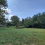 Puliamo insieme: natura e impegno alla Cascina dei Poveri