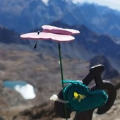 La farfalla de La Casa di Chiara sulla vetta del Monte Emilius, a 3.560 metri La farfalla de La Casa di Chiara sulla vetta del Monte Emilius, a 3.560 metri