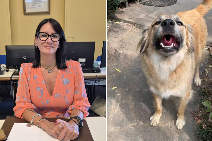 Fiona è fuori pericolo. L’assessore Cozzi condanna i colpevoli: «Gesto doloso, è un atto da delinquenti»