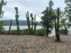 La spiaggia abusiva sul lago di Comabbio