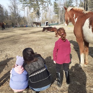 A Gornate Olona, un percorso per «far vivere ai bambini la natura a tutto tondo attraverso il gioco con i cavalli»