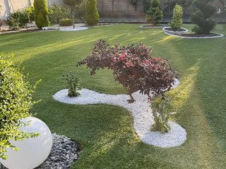 Elisa Popaj 1° Giardini fioriti