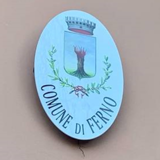 Ferno, lavori ultimati. La palestra della Primaria riconsegnata alla scuola e alle società sportive