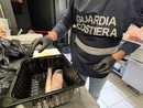 Si tuffa nel lago di Como per salvare il figlio e annega di fronte agli occhi della famiglia