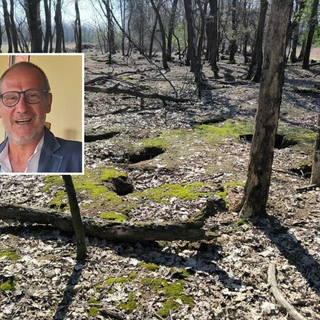 Assedio dei conigli nel Parco Alto Milanese: l’appello per un nuovo equilibrio
