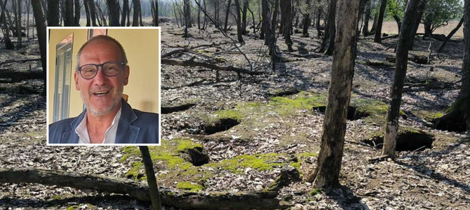 Assedio dei conigli nel Parco Alto Milanese: l’appello per un nuovo equilibrio