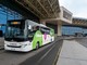 Nuovo shuttle Milano Lampugnano-Malpensa Nuovo shuttle Milano Lampugnano-Malpensa