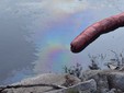 Sversamento di idrocarburi nel fiume Ticino tra Golasecca e Sesto Calende