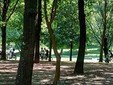 Girinvalle Fagnano Olona Girinvalle Fagnano Olona