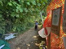 Il bosco di via Curtatone a Gallarate
