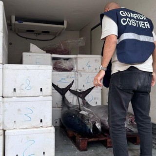 Il tonno sequestrato dagli agenti della Capitaneria di Porto Guardia Costiera di Genova
