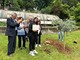 La cerimonia di piantumazione dell'ulivo in memoria di Daniele alla scuola di Gazzada Schianno