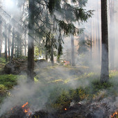 (foto d'archivio) (foto d'archivio)