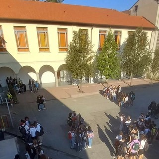 (Foto profilo instagram @liceoblaisepascal)