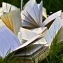 Libri per l’estate, i consigli di lettura degli amministratori della Valle Olona