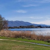 Il lago di Monate Il lago di Monate