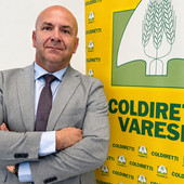 Luciano Salvadori Luciano Salvadori