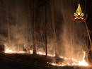 Incendio nella notte nel bosco di Lonate Ceppino, fiamme circoscritte grazie ai vigili del fuoco
