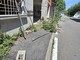 Palazzo di vicolo Landriani: oggi è proprietà privata e videosorvegliata, ma qualcuno la vuole forzare Palazzo di vicolo Landriani: oggi è proprietà privata e videosorvegliata, ma qualcuno la vuole forzare