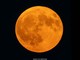 La Luna piena del Cervo vista dalla nostra provincia nello scatto di Gianluca Bertoni La Luna piena del Cervo vista dalla nostra provincia nello scatto di Gianluca Bertoni