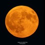 La Luna piena del Cervo vista dalla nostra provincia nello scatto di Gianluca Bertoni La Luna piena del Cervo vista dalla nostra provincia nello scatto di Gianluca Bertoni