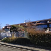 Sei studenti del Liceo Tosi premiati con la borsa di studio “Dolci Colombo” Sei studenti del Liceo Tosi premiati con la borsa di studio “Dolci Colombo”