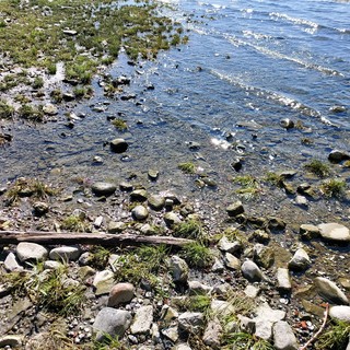 Sempre più preoccupante la crisi idrica del Lago Maggiore: raggiunto il livello di &quot;siccità severa&quot;