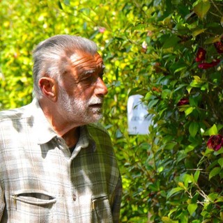 Il cavalier Enrico "Chicco" Gasparini nel suo labirinto delle camelie a Laveno