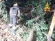 L'intervento dei vigili del fuoco a Maccagno sulla 394