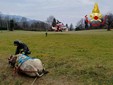 Le complesse operazioni di salvataggio della mucca e dell'asino rimasti bloccati nei boschi di Masciago Primo