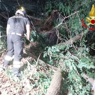 L'intervento dei vigili del fuoco a Maccagno sulla 394