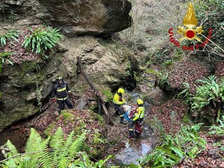 Le complesse operazioni di salvataggio della mucca e dell'asino rimasti bloccati nei boschi di Masciago Primo