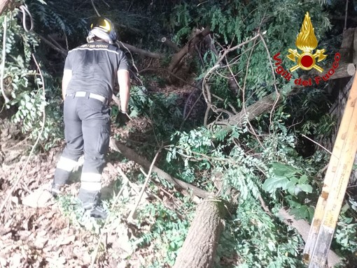 L'intervento dei vigili del fuoco a Maccagno sulla 394