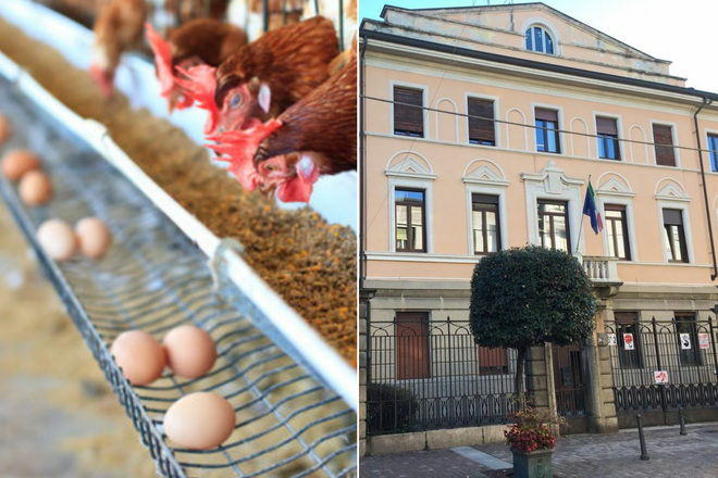 Influenza aviaria a Olgiate Olona, emergenza conclusa: revocate le zone di protezione e sorveglianza Influenza aviaria a Olgiate Olona, emergenza conclusa: revocate le zone di protezione e sorveglianza