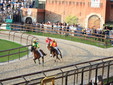 Foto Fabrizio Riboni
