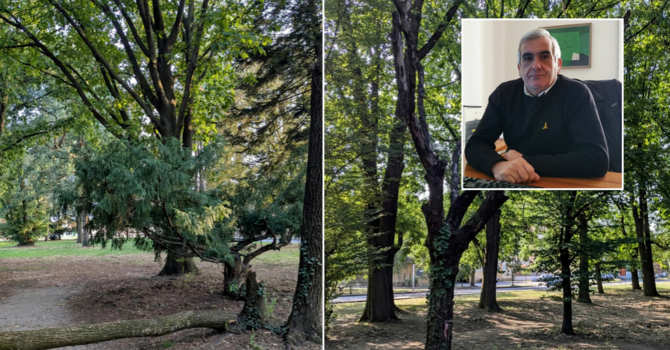 «No a giochi davanti al cimitero di Busto, sì a soluzioni serie»: Tallarida replica sul parco a Madonna Regina «No a giochi davanti al cimitero di Busto, sì a soluzioni serie»: Tallarida replica sul parco a Madonna Regina