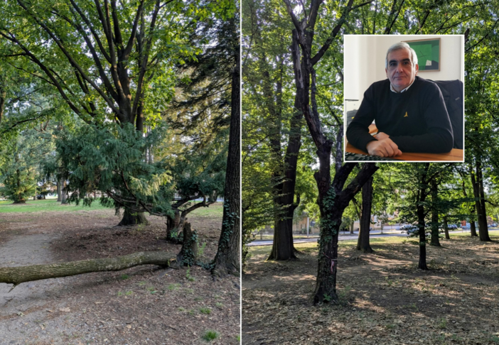 «No a giochi davanti al cimitero di Busto, sì a soluzioni serie»: Tallarida replica sul parco a Madonna Regina «No a giochi davanti al cimitero di Busto, sì a soluzioni serie»: Tallarida replica sul parco a Madonna Regina