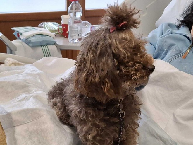 Ariel al lavoro, in grembo a una paziente allettata