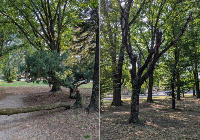Parco Rimembranze Parco Rimembranze
