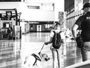 Derubavano i passeggeri al Terminal 1 dell'aeroporto di Malpensa: denunciati due extracomunitari